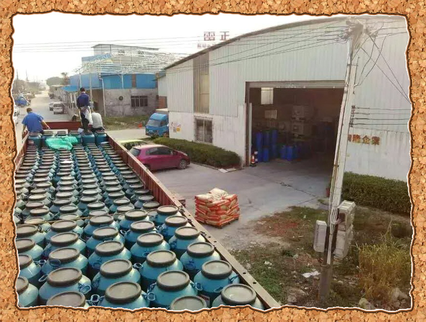 ��ɭ�����I���w�����L �x�ͳɿ��ل��vʷ�¸�