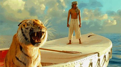 ����Ҫ�������@�扦����(d��o)�ݡ������z��(m��ng)���ɾ���������